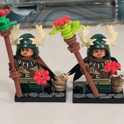 Lego Dungeons and dragons 71047