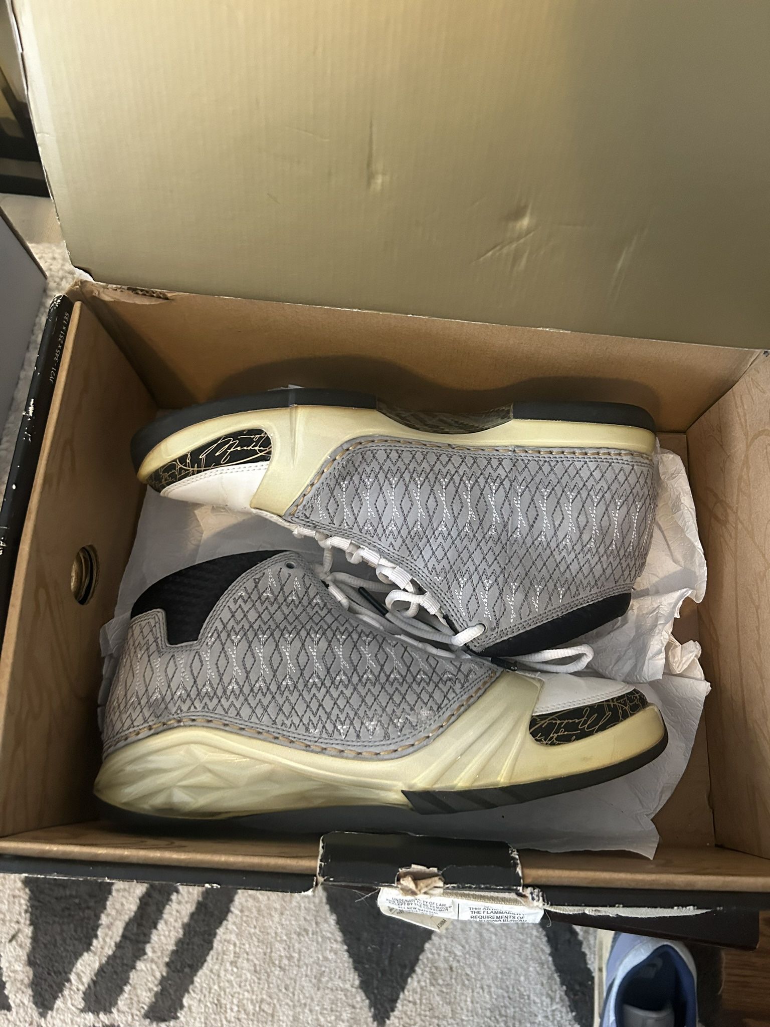 Air Jordan 23 White Stealth