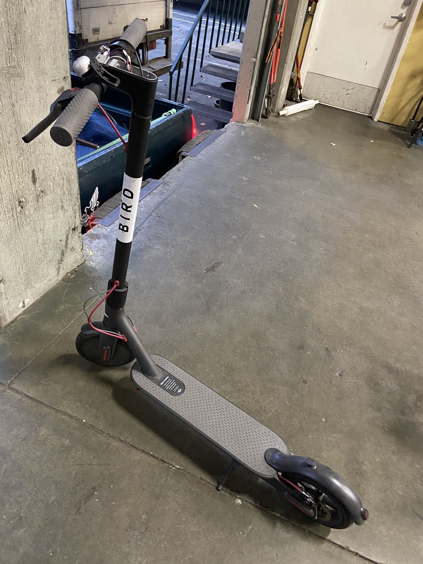 Bird electric scooter