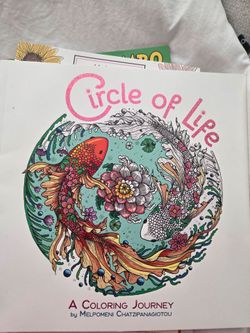 4 Coloring Books