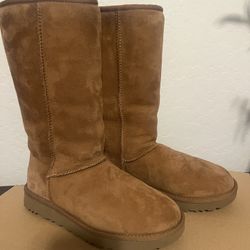 Women’s Tall Ugg Boots Size 7