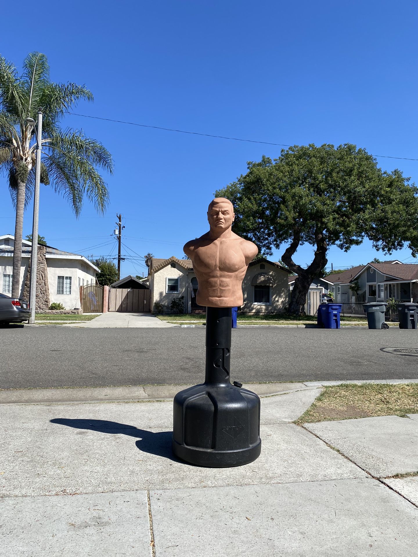 CENTURY PUNCHING BOB BAG 