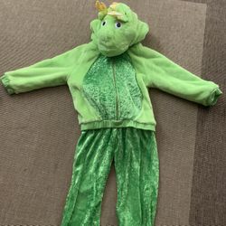 Dragon Costume