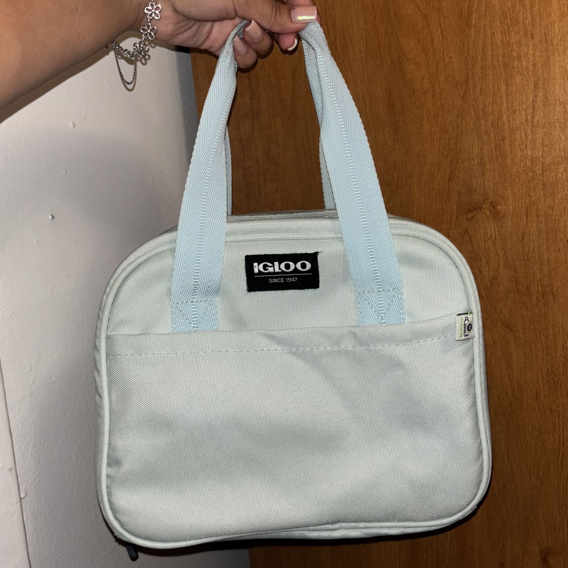 Igloo Lunch Bag