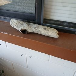 Aquarium Natural Driftwood 
