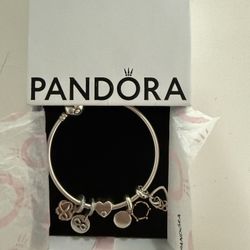 Pandora Charm Bracelet 