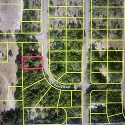 Lot in Ocklamaha Florida