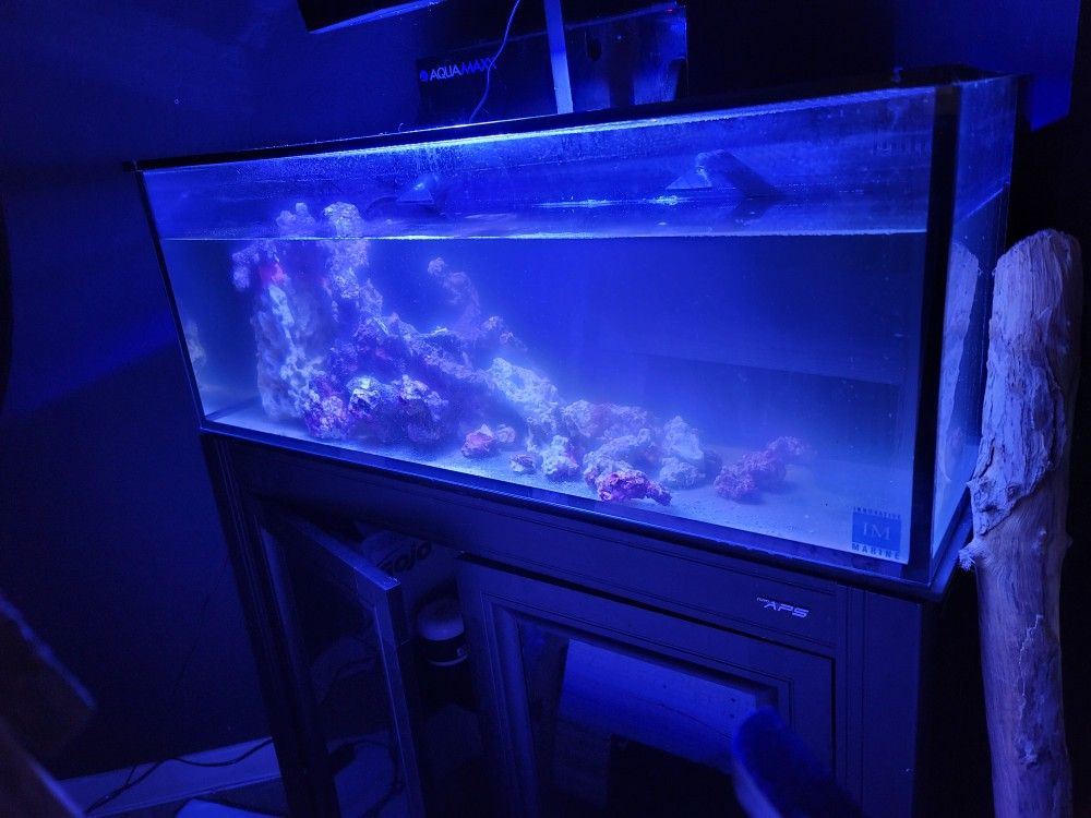 ABS saltwater tank , Includes One Red Sea 50 LED Light