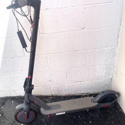 Electric Scooter 