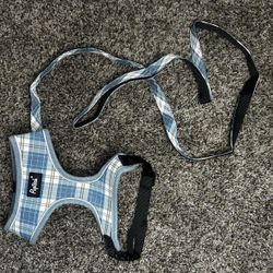 Dog Harness And Leash Set