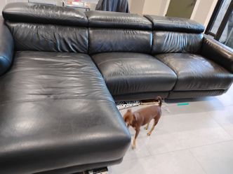 Black leather sectional with recliner