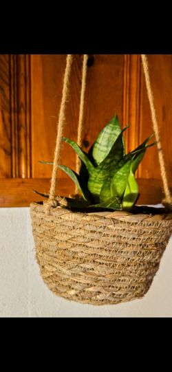 Woven plant holder