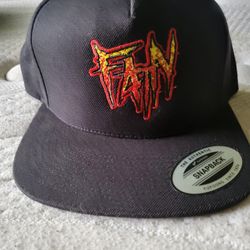 From Ashes To New Snapback 
