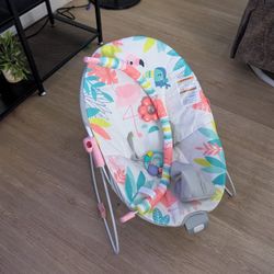 Baby Bouncer 