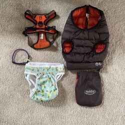 Puppy Accessories: Jacket, Harness, Collar, Diaper 