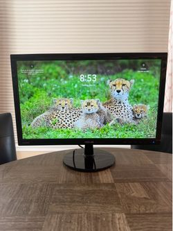 ASUS 21 Inch Monitor