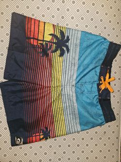 Laguna Board Shorts Boys M 10-12 Palm Trees And Sun Swim Summer Preowned Pristine Condition Like New