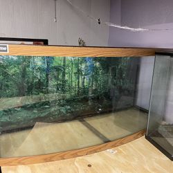 75 Gallon Bow Fish Tank 