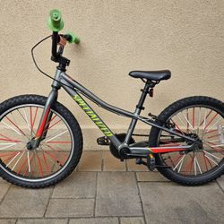 Specialized Kids 20 Inch Bike Mint Mint Condition