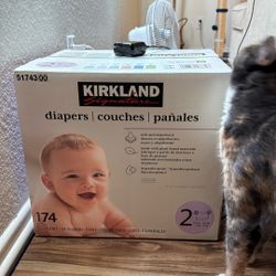 Kirkland Size 2 Diapers 