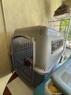Dog cage