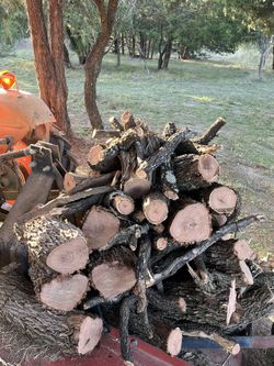 🪵 L.E.Ñ.A…….100% ……M.E.S.Q.U.I.T.E🔥