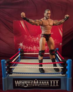 Randy Orton WWE Champions Main Event Series Mattel figure
