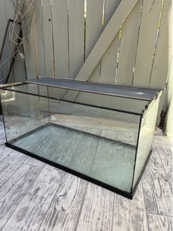 Terrarium