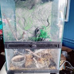 Reptile Terrarium 