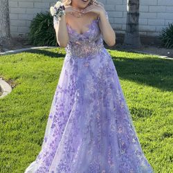 Gorgeous Cinderella Gown
