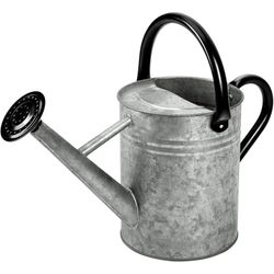 Metal Watering Can, One Gallon