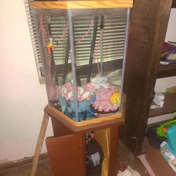 Fish Tank With Pumps And Stand