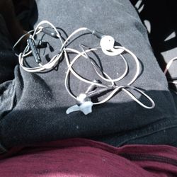 Bose Earbuds Wired