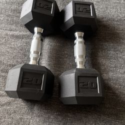 Dumbbells 20lb Set Of 2 
