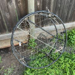 Crab Cage