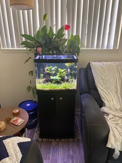 32 gallon Planted Aquarium Tank with Black Cabinet Stand