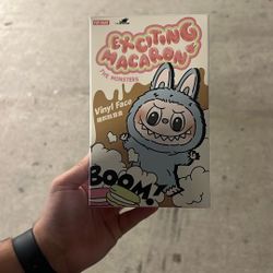 Exciting Macaron Labubu