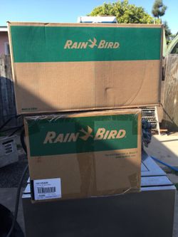 Rainbird sprinklers
