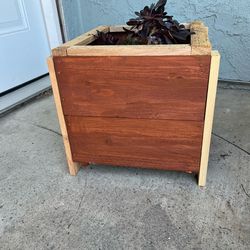 Cedar plat or garden 🪴  boxes homemade