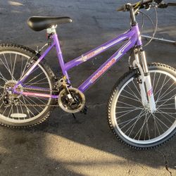 Purple Mountain Bike 
