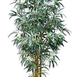 AMERIQUE Gorgeous & Massive 6' Bamboo Trees Artificial Silk