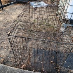 Dog Pen