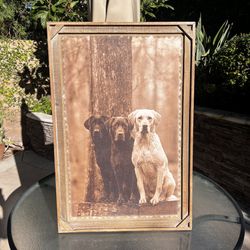  Labs Barnwood Gallery Art by Denver Bryan