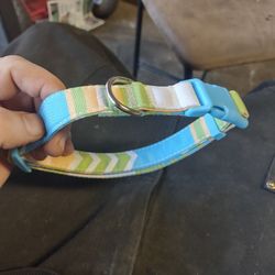 Dog Collar