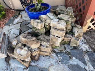 Paver Bricks