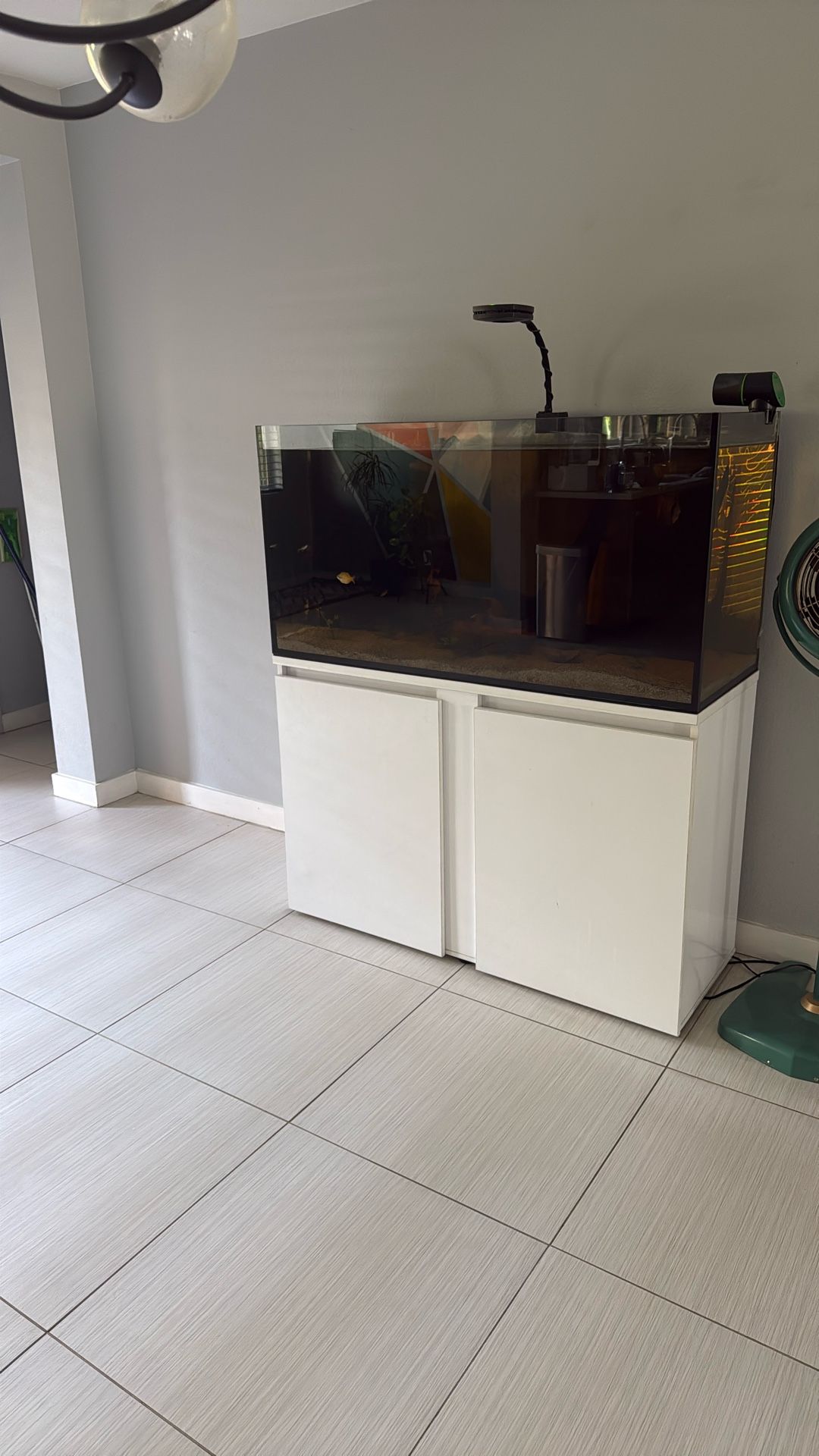 Beautiful 85gal Fish Tank For Sale