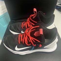 lebron james size 4