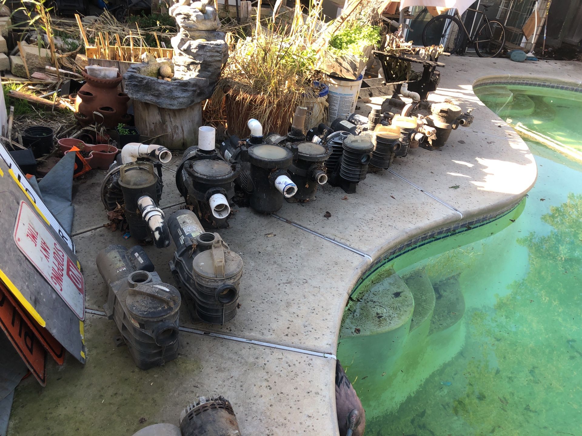 Assorted Swimming Pool Pumps