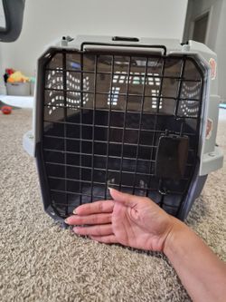 Kennel