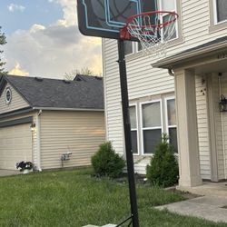 Lifetime Basketball Hoop 